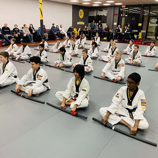 Tiger Kicks Taekwondo Studio in Extonproject