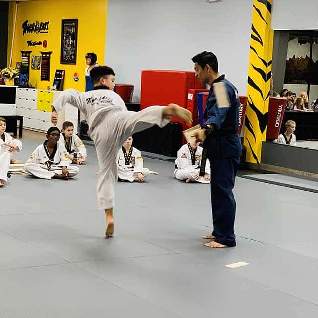 Tiger Kicks Taekwondo Studio in Extonproject