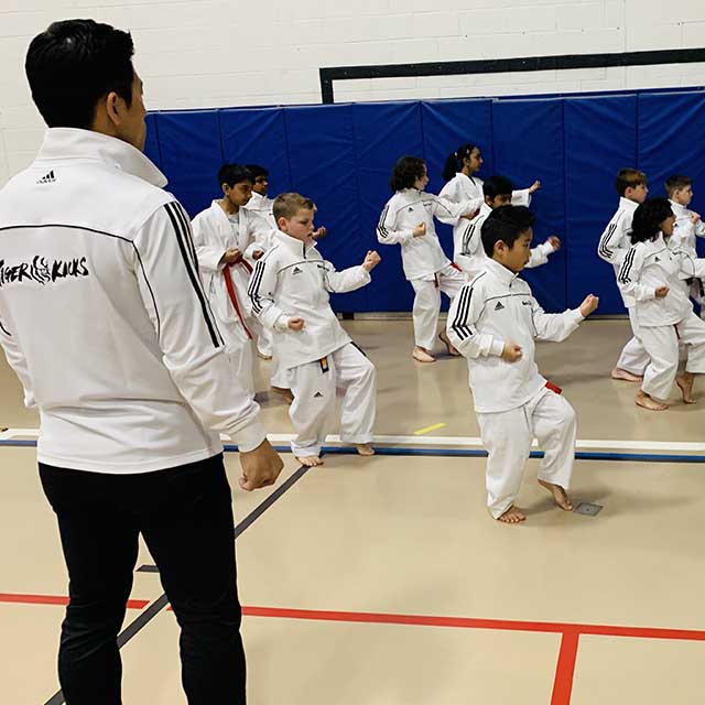 Tiger Kicks Taekwondo Studio in Extonproject