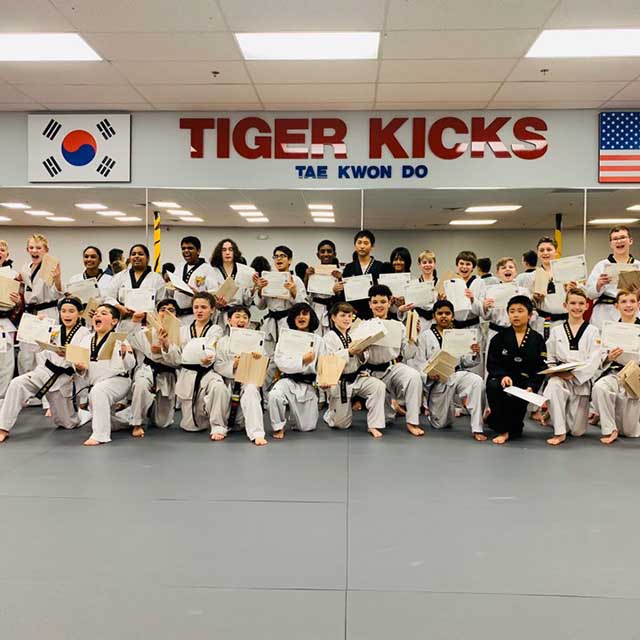 Tiger Kicks Taekwondo Studio in Extonproject