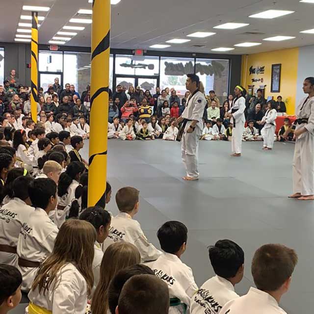 Tiger Kicks Taekwondo Studio in Extonproject