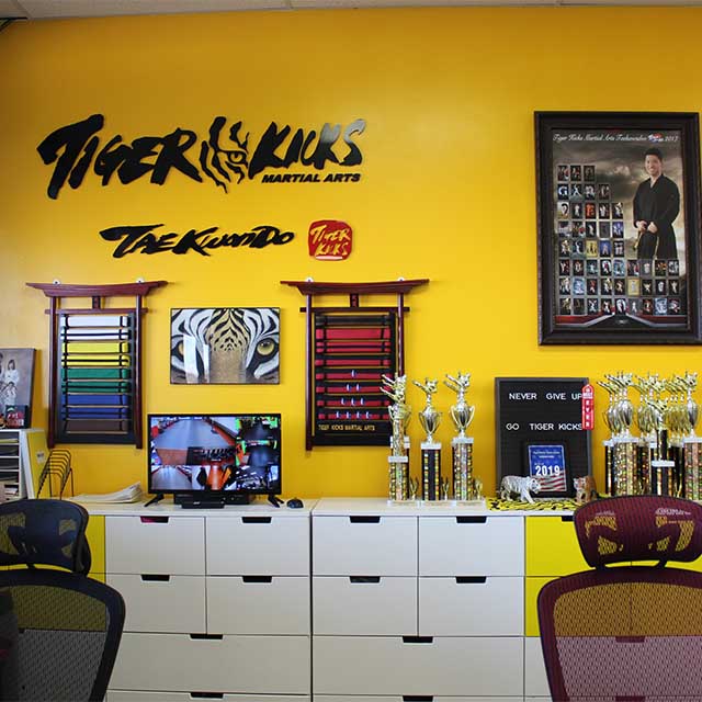 Tiger Kicks Taekwondo Studio in Extonproject